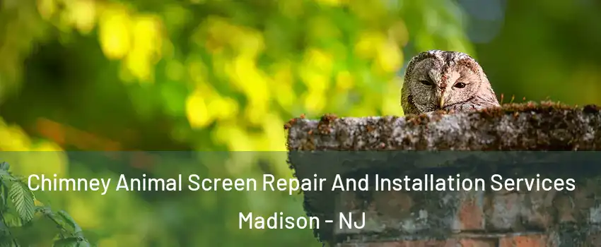  Chimney Animal Screen Repair And Installation Services Madison - NJ