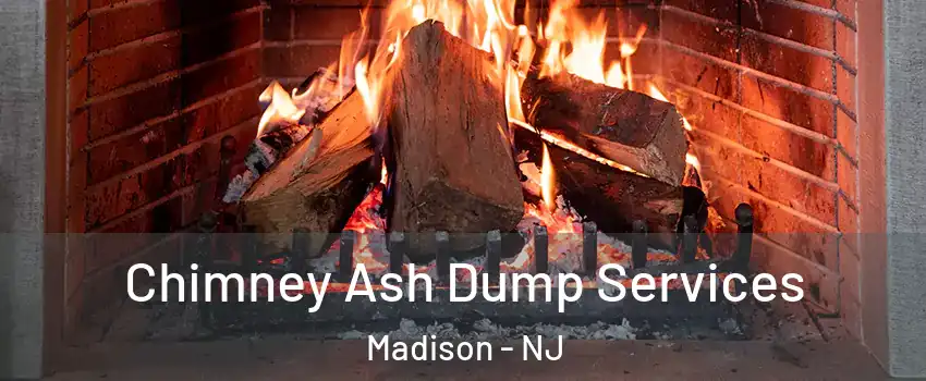 Chimney Ash Dump Services Madison - NJ