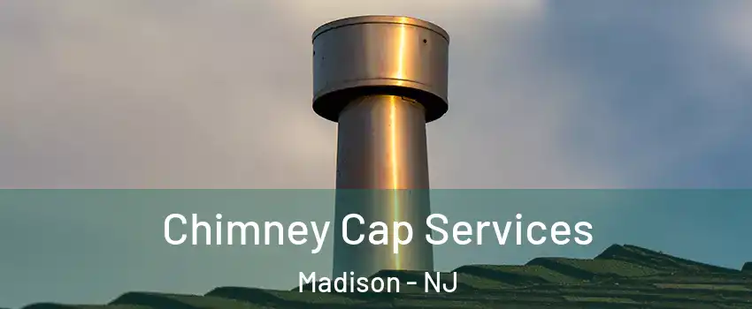  Chimney Cap Services Madison - NJ