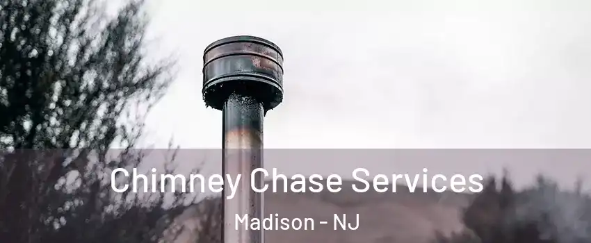  Chimney Chase Services Madison - NJ