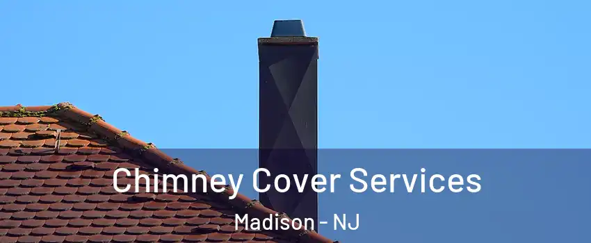 Chimney Cover Services Madison - NJ
