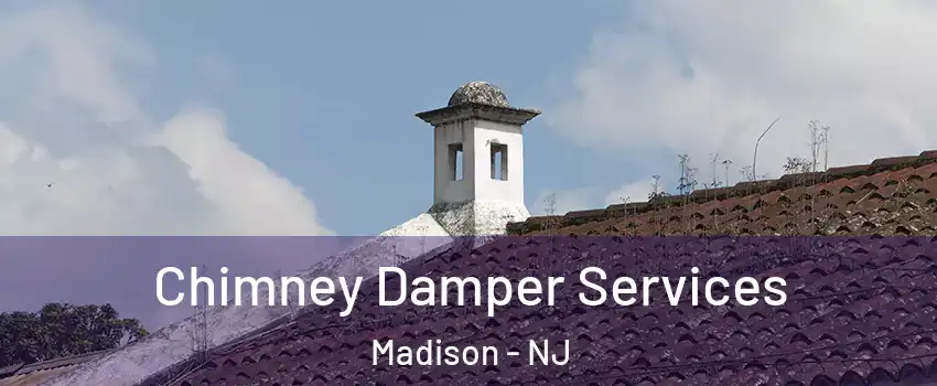  Chimney Damper Services Madison - NJ
