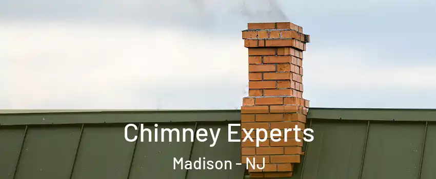  Chimney Experts Madison - NJ