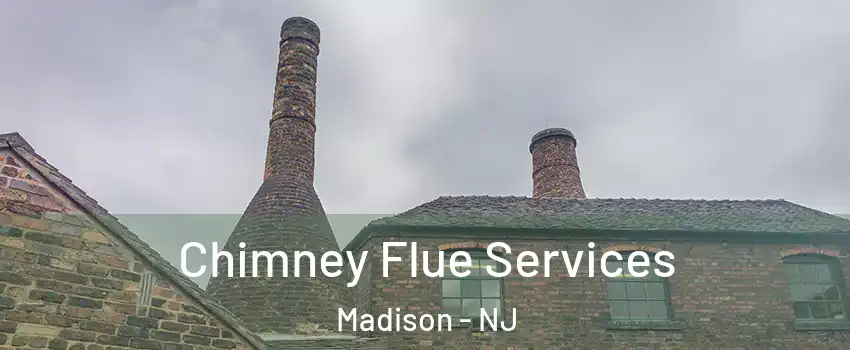  Chimney Flue Services Madison - NJ