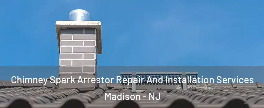  Chimney Spark Arrestor Repair And Installation Services Madison - NJ