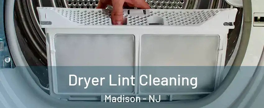  Dryer Lint Cleaning Madison - NJ