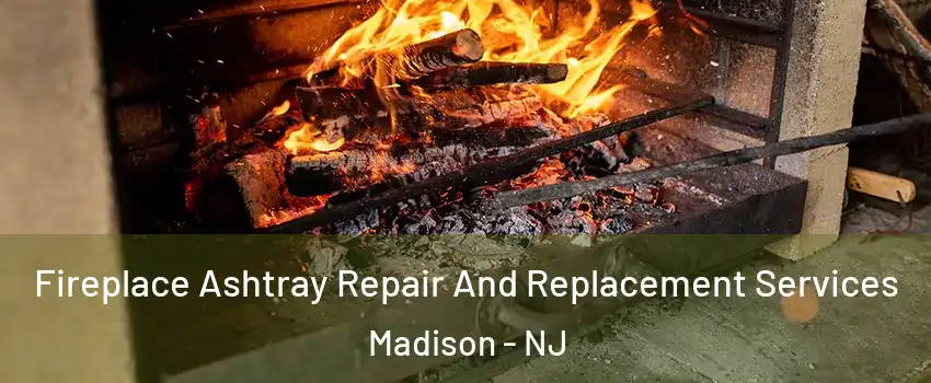 Fireplace Ashtray Repair And Replacement Services Madison - NJ