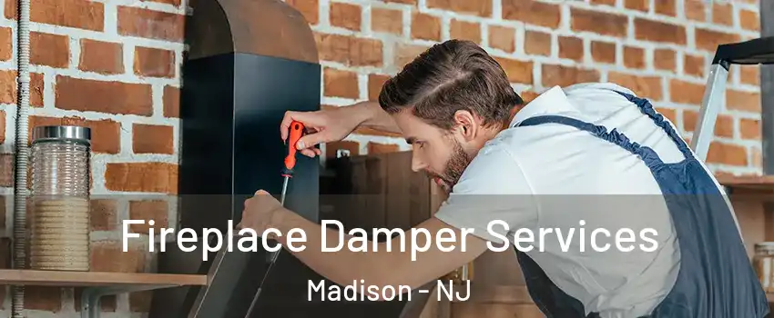  Fireplace Damper Services Madison - NJ