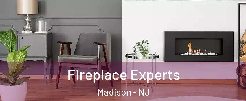  Fireplace Experts Madison - NJ
