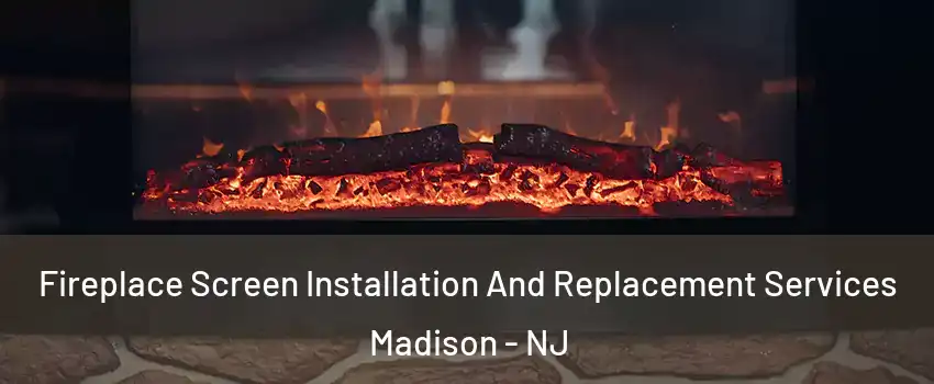 Fireplace Screen Installation And Replacement Services Madison - NJ