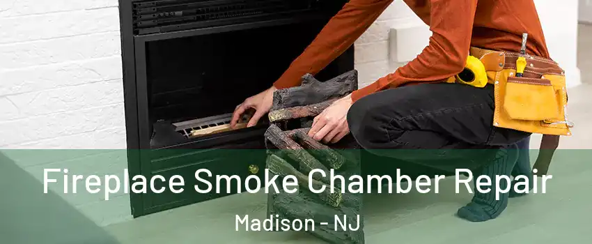 Fireplace Smoke Chamber Repair Madison - NJ
