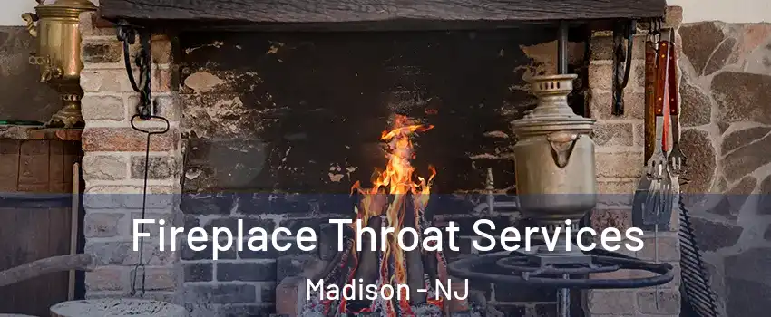  Fireplace Throat Services Madison - NJ