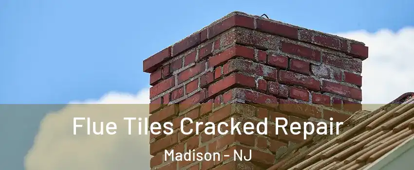 Flue Tiles Cracked Repair Madison - NJ