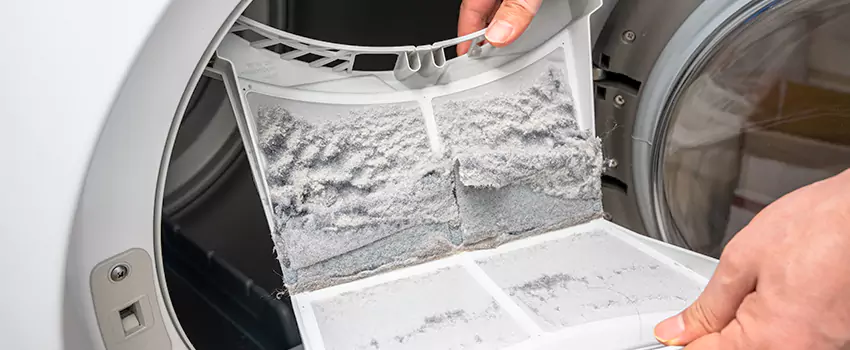 Best Dryer Lint Removal Company in Madison, New Jersey