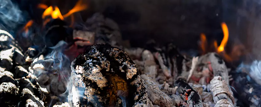 Creosote Removal Experts in Madison, NJ