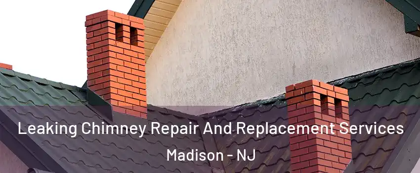  Leaking Chimney Repair And Replacement Services Madison - NJ