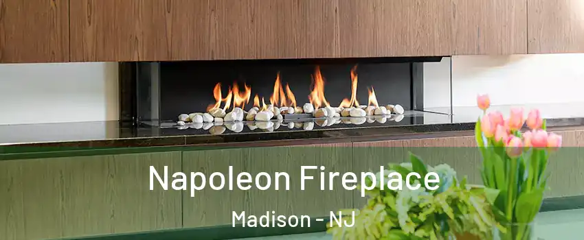 Napoleon Fireplace Madison - NJ